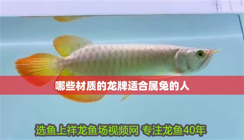 哪些材質的龍牌適合屬兔的人