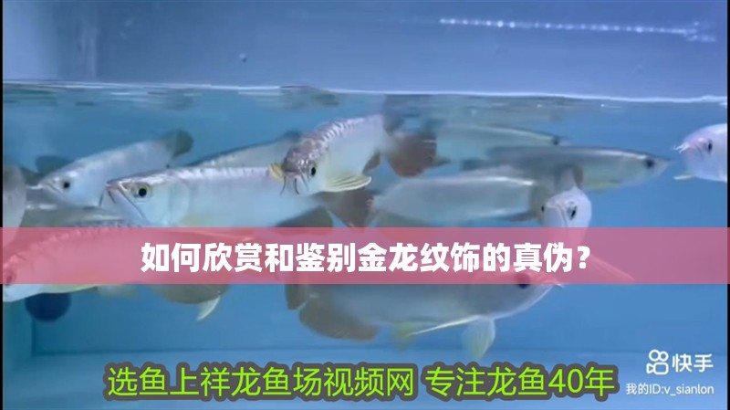 如何欣賞和鑒別金龍紋飾的真偽？