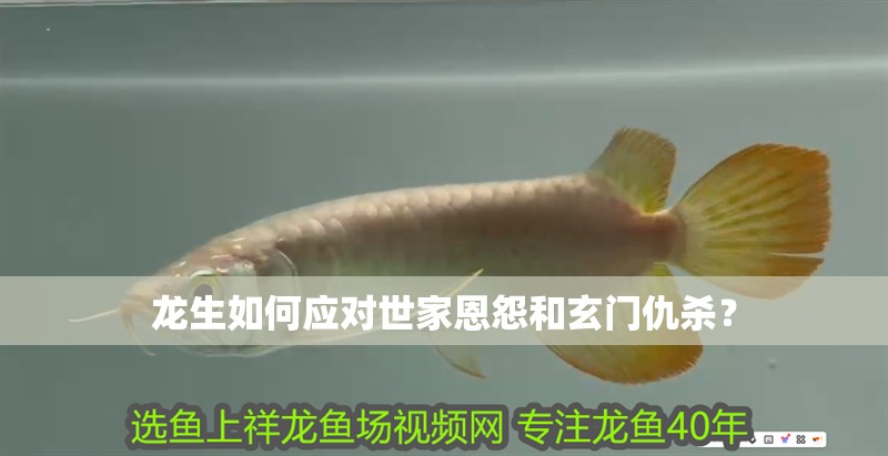 龍生如何應對世家恩怨和玄門仇殺？