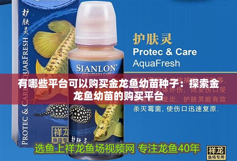 有哪些平臺可以購買金龍魚幼苗種子：探索金龍魚幼苗的購買平臺