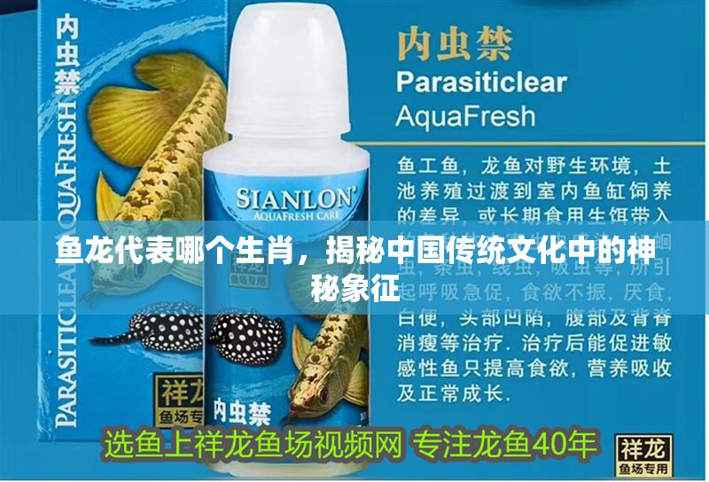 魚龍代表哪個生肖，揭秘中國傳統文化中的神秘象征