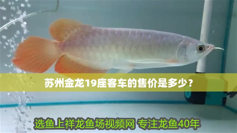 龍魚有寄生蟲自己能恢復嗎