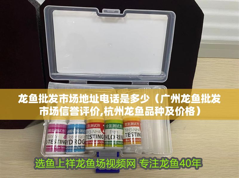 龍魚批發市場地址電話是多少（廣州龍魚批發市場信譽評價,杭州龍魚品種及價格）