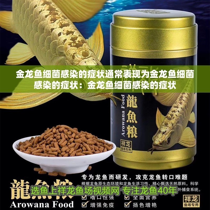 金龍魚細菌感染的癥狀通常表現(xiàn)為金龍魚細菌感染的癥狀：金龍魚細菌感染的癥狀