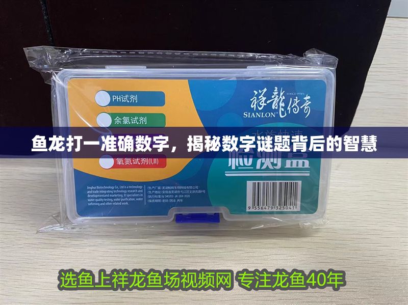 魚龍打一準確數字，揭秘數字謎題背后的智慧