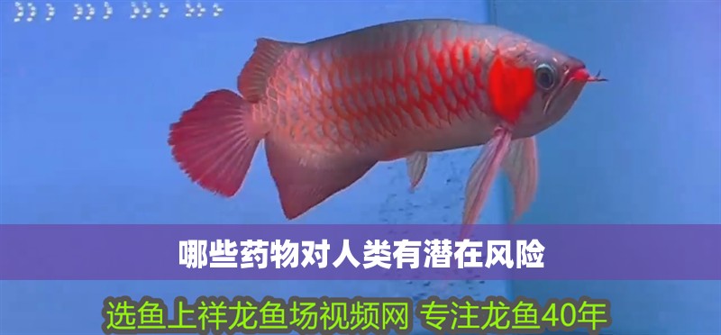 哪些藥物對人類有潛在風險