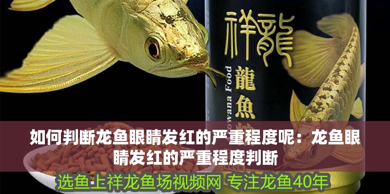 如何判斷龍魚眼睛發(fā)紅的嚴(yán)重程度呢：龍魚眼睛發(fā)紅的嚴(yán)重程度判斷