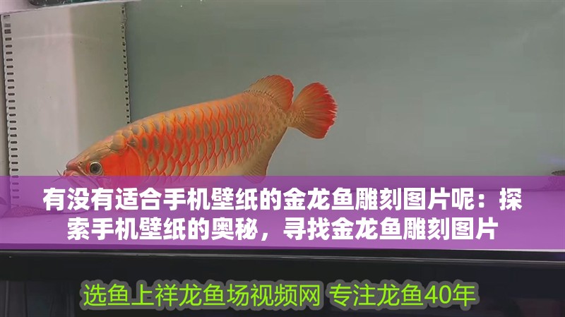 有沒(méi)有適合手機(jī)壁紙的金龍魚雕刻圖片呢：探索手機(jī)壁紙的奧秘，尋找金龍魚雕刻圖片