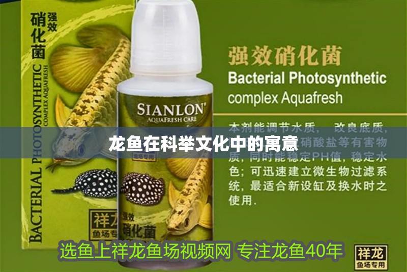 龍魚在科舉文化中的寓意