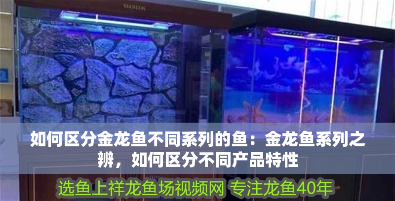 如何區分金龍魚不同系列的魚：金龍魚系列之辨，如何區分不同產品特性