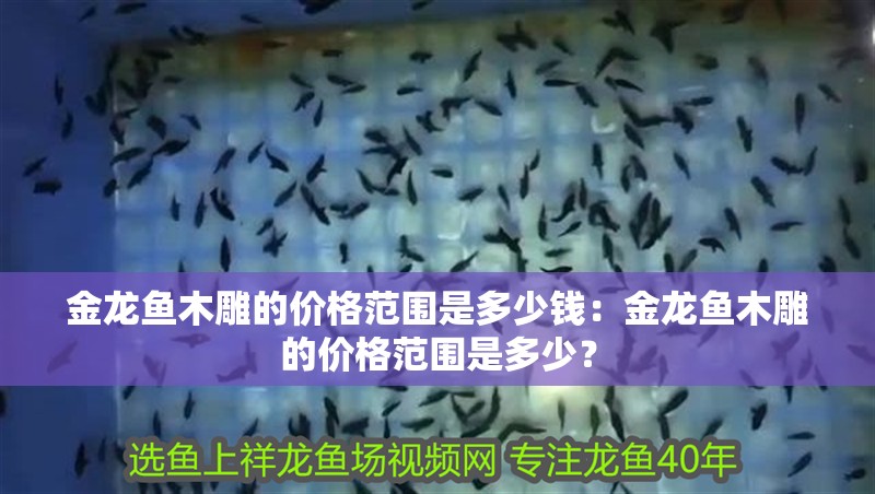 金龍魚木雕的價格范圍是多少錢：金龍魚木雕的價格范圍是多少？