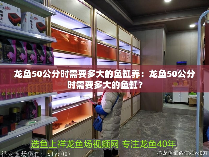 龍魚50公分時需要多大的魚缸養：龍魚50公分時需要多大的魚缸？