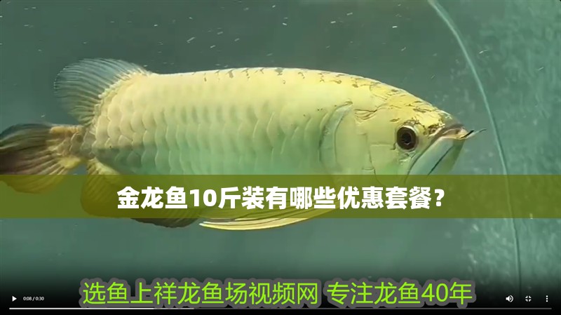 金龍魚10斤裝有哪些優(yōu)惠套餐？