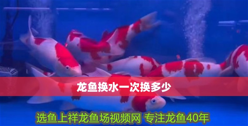 龍魚換水一次換多少