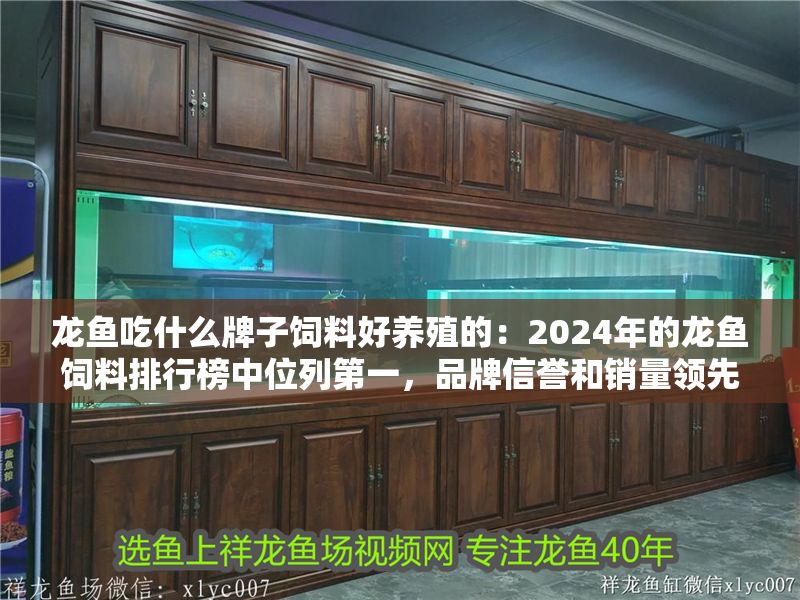 龍魚吃什么牌子飼料好養殖的：2024年的龍魚飼料排行榜中位列第一，品牌信譽和銷量領先