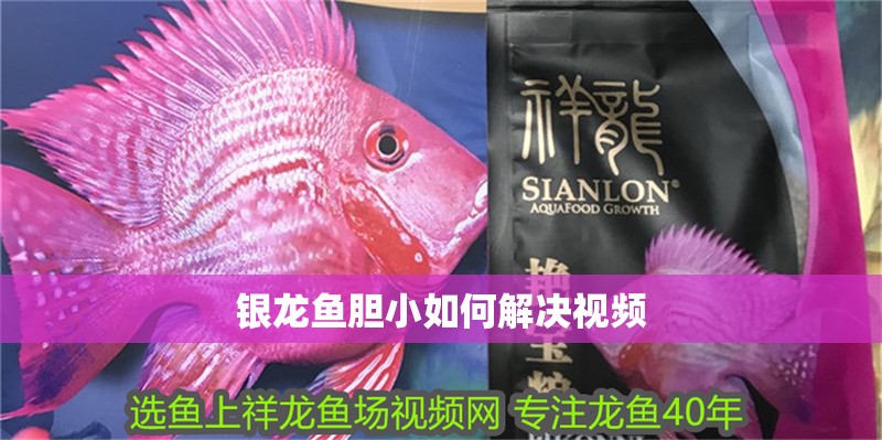 銀龍魚膽小如何解決視頻