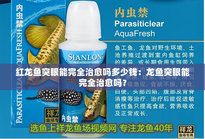 紅龍魚突眼能完全治愈嗎多少錢：龍魚突眼能完全治愈嗎？
