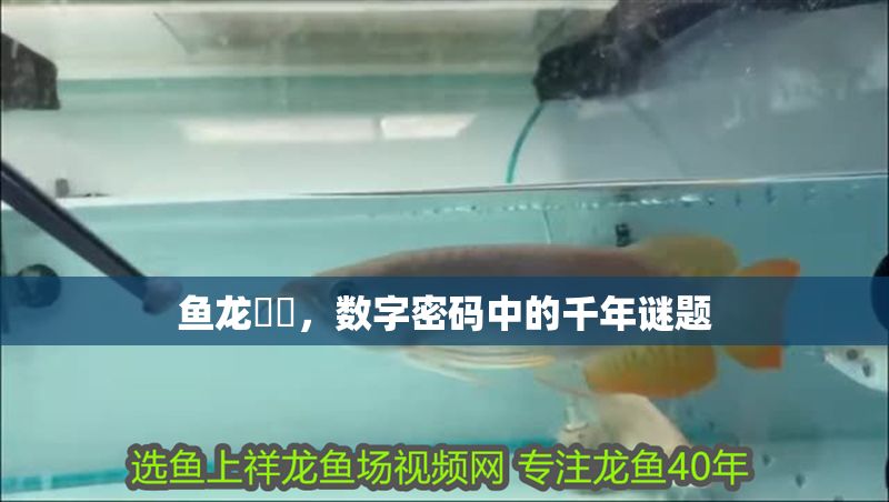魚龍瀺灂，數字密碼中的千年謎題