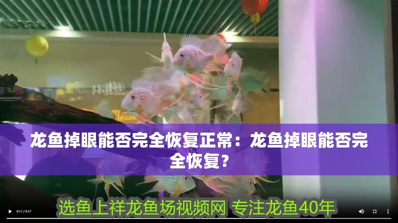 龍魚掉眼能否完全恢復正常：龍魚掉眼能否完全恢復？