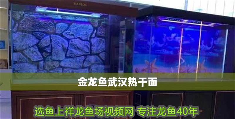 金龍魚武漢熱干面