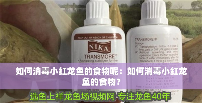 如何消毒小紅龍魚的食物呢：如何消毒小紅龍魚的食物？
