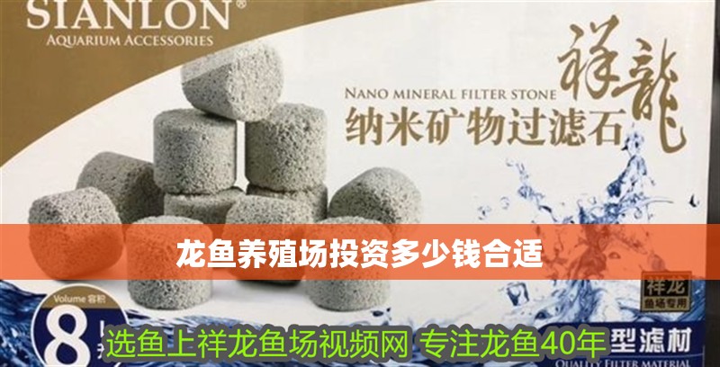 龍魚養殖場投資多少錢合適