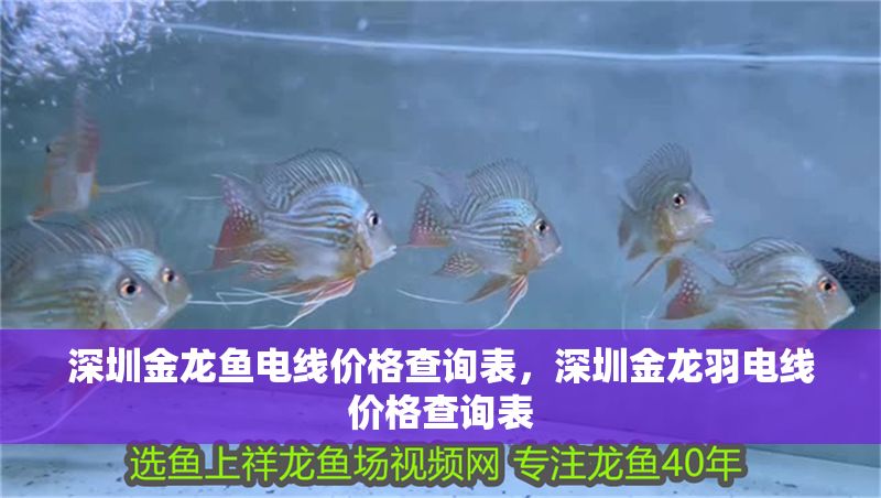 深圳金龍魚電線價格查詢表，深圳金龍羽電線價格查詢表