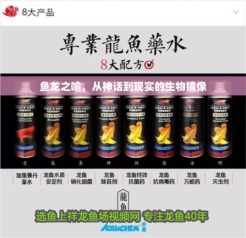 魚龍之喻，從神話到現(xiàn)實(shí)的生物鏡像