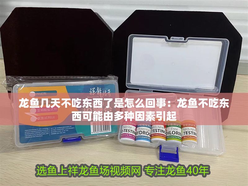 龍魚幾天不吃東西了是怎么回事：龍魚不吃東西可能由多種因素引起