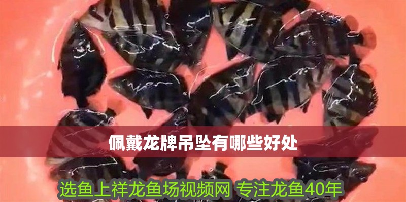 佩戴龍牌吊墜有哪些好處