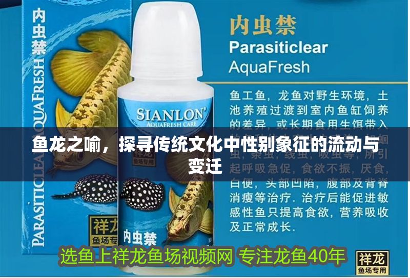 魚龍之喻，探尋傳統文化中性別象征的流動與變遷