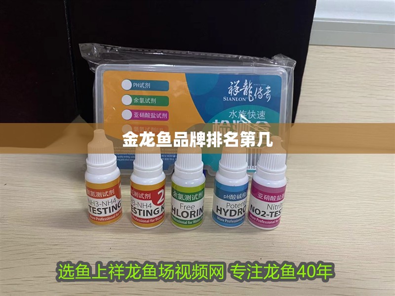 虎魚天天黑來點赤瞳黃金 金龍魚品牌排名第幾 龍魚百科 金龍魚品牌排名第幾 金龍魚品牌排名第幾 龍魚百科