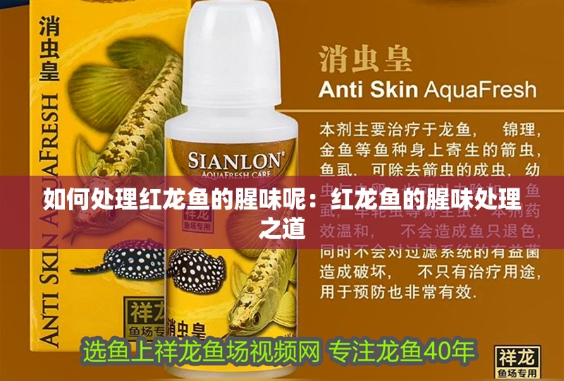 如何處理紅龍魚的腥味呢：紅龍魚的腥味處理之道