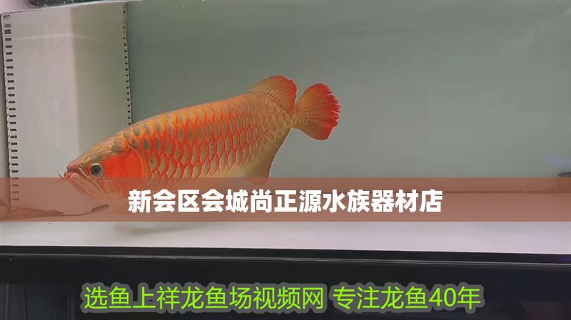 新會(huì)區(qū)會(huì)城尚正源水族器材店