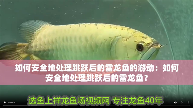 如何安全地處理跳躍后的雷龍魚的游動(dòng)：如何安全地處理跳躍后的雷龍魚？