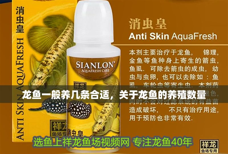 龍魚一般養幾條合適，關于龍魚的養殖數量
