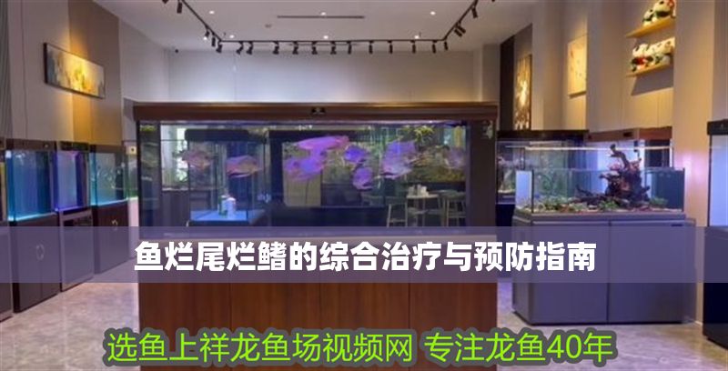 魚爛尾爛鰭的綜合治療與預防指南