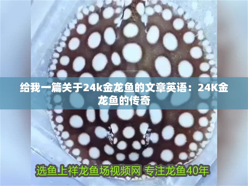 給我一篇關(guān)于24k金龍魚的文章英語：24K金龍魚的傳奇