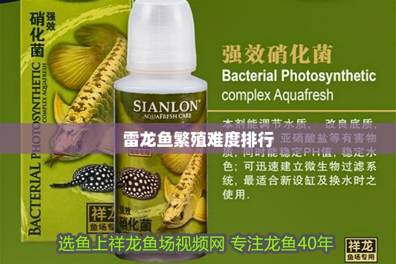 雷龍魚繁殖難度排行