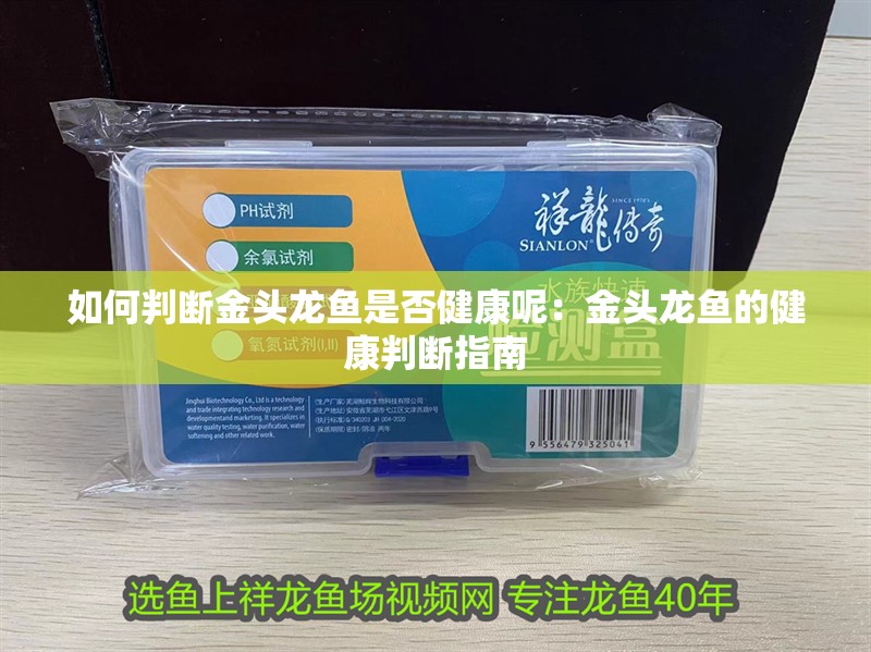 如何判斷金頭龍魚是否健康呢：金頭龍魚的健康判斷指南