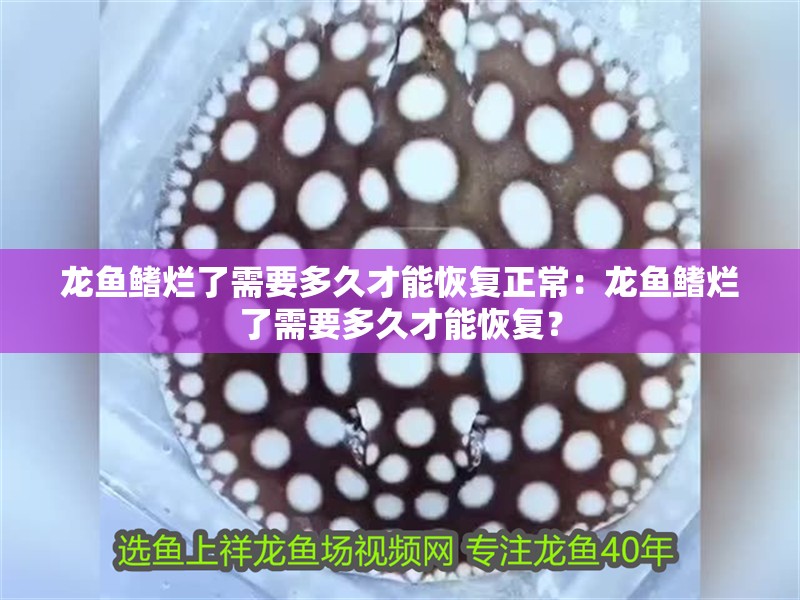 龍魚鰭爛了需要多久才能恢復正常：龍魚鰭爛了需要多久才能恢復？
