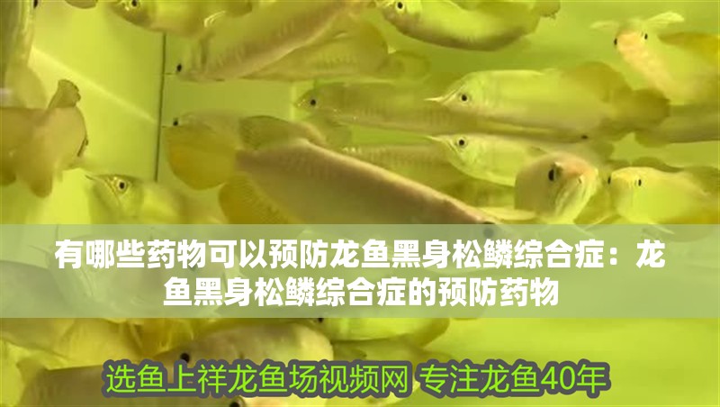 有哪些藥物可以預防龍魚黑身松鱗綜合癥：龍魚黑身松鱗綜合癥的預防藥物