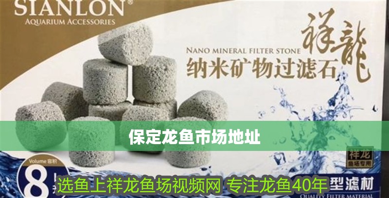 保定龍魚市場地址