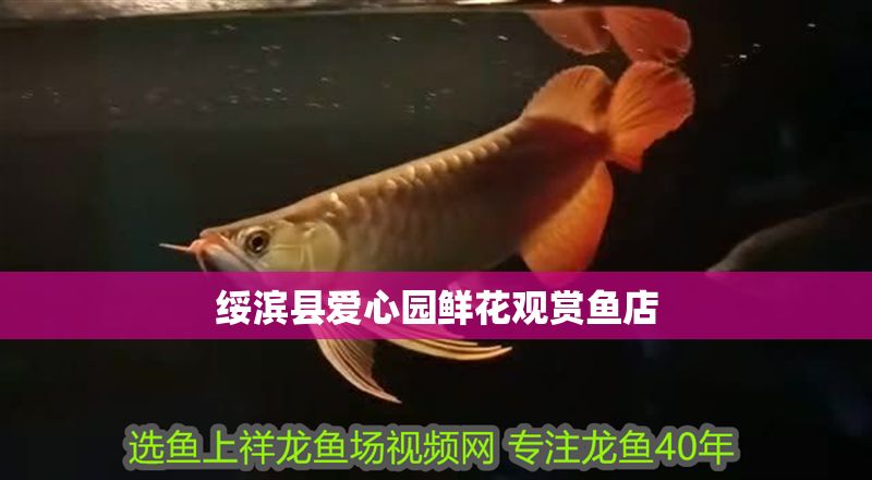 綏濱縣愛心園鮮花觀賞魚店 綏濱縣愛心園鮮花觀賞魚店 全國水族館企業名錄 第1張