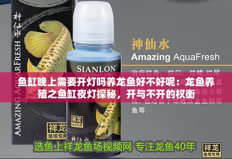 魚缸晚上需要開燈嗎養龍魚好不好呢：龍魚養殖之魚缸夜燈探秘，開與不開的權衡