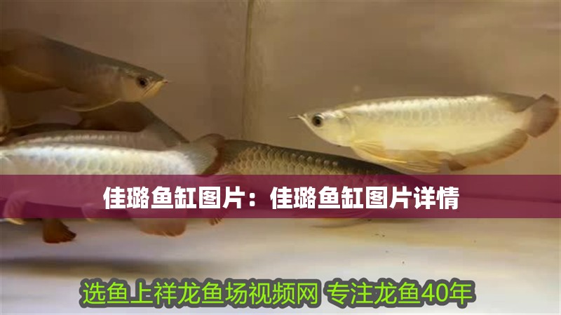 佳璐魚(yú)缸圖片：佳璐魚(yú)缸圖片詳情