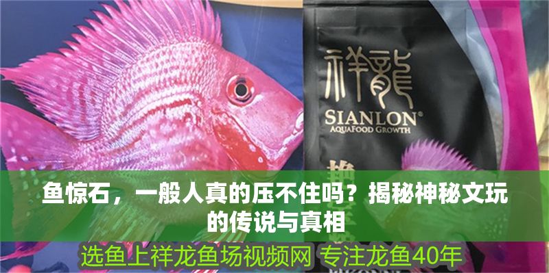 魚驚石，一般人真的壓不住嗎？揭秘神秘文玩的傳說(shuō)與真相
