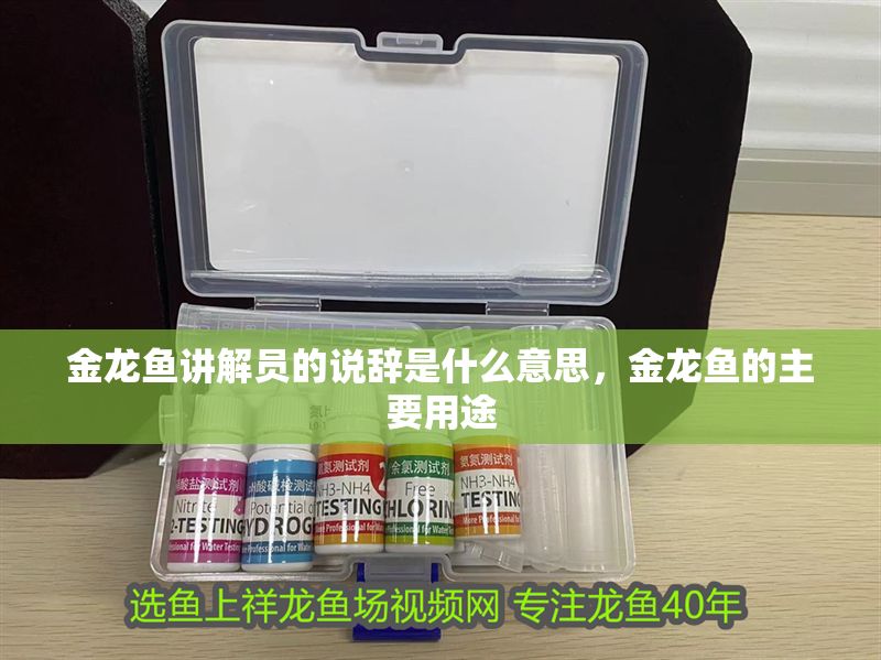 金龍魚講解員的說辭是什么意思，金龍魚的主要用途