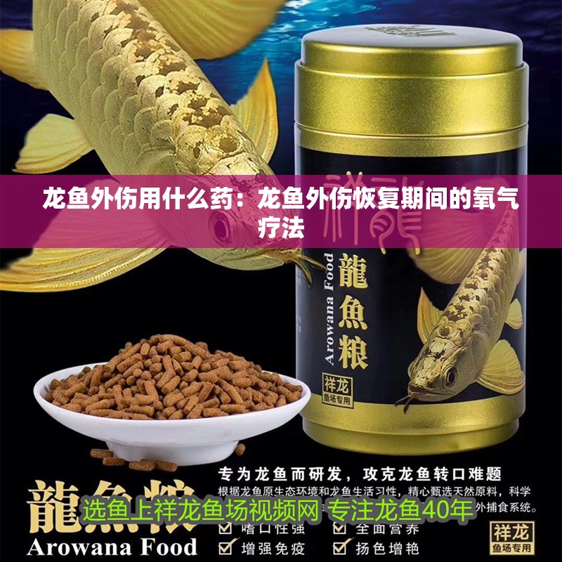 龍魚(yú)外傷用什么藥：龍魚(yú)外傷恢復(fù)期間的氧氣療法