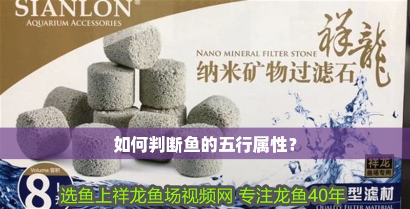 如何判斷魚的五行屬性？ 如何判斷魚的五行屬性？ 龍魚百科